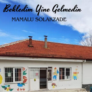 Bekledim Yine Gelmedin