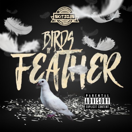 Birds of a Feather | Boomplay Music