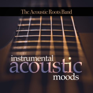 Instrumental Acoustic Moods