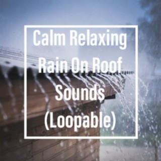 Calm Relaxing Rain On Roof Sounds (Loopable)