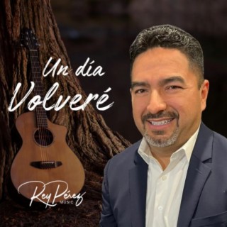 Un día Volveré lyrics | Boomplay Music