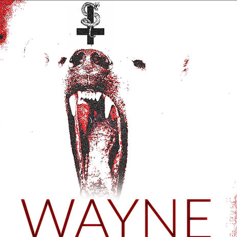 WAYNE | Boomplay Music