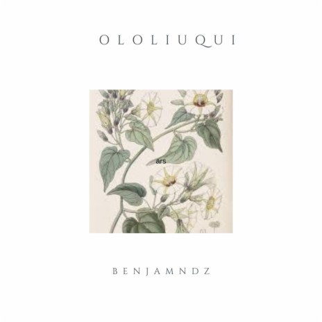 OLOLIUQUI | Boomplay Music