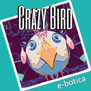 Crazy Bird