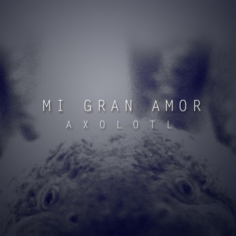 Mi gran amor (Axolotl) | Boomplay Music