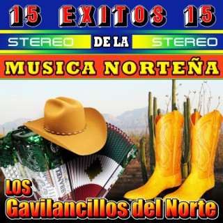 Exitos de la Música Norteña, Vol. 1