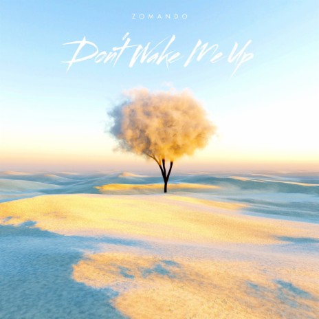 Don't Wake Me Up | Boomplay Music