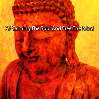 75 Calmer l'âme et libérer l'esprit (2022 Disques silencieux mais rouges)