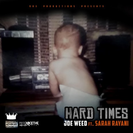 Hard Times (feat. Sarah Rayani) | Boomplay Music