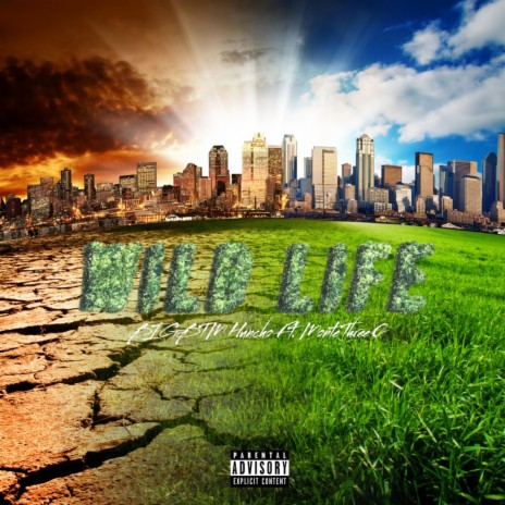 Wildlife ft. MonteThree0 | Boomplay Music