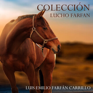 Colección Lucho Farfan