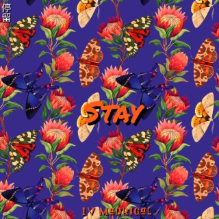 Stay