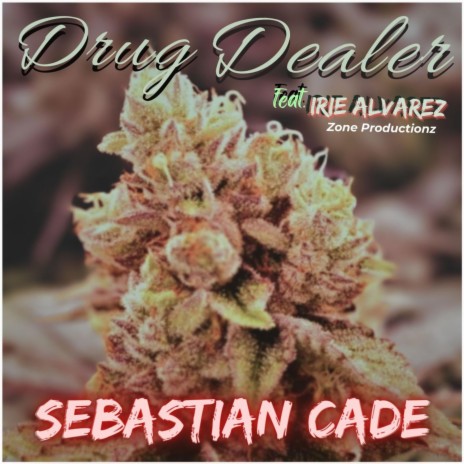 Drug Dealer ft. Erika “Irie” Alvarez & Zone Productionz | Boomplay Music