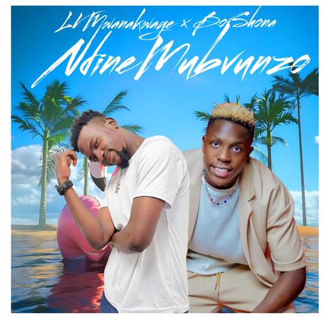 Ndine Mubvunzo ft. Boi Shona | Boomplay Music