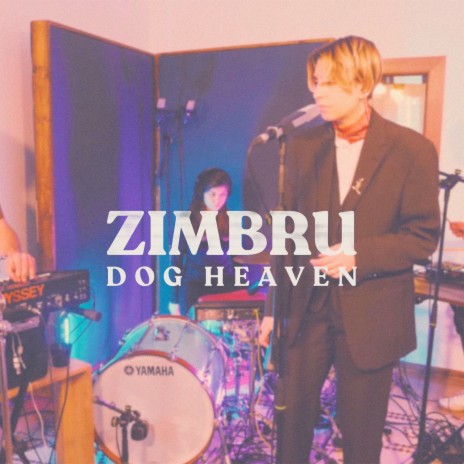 Dog Heaven (Live) | Boomplay Music