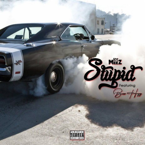 Stupid ft. Boss Hogg | Boomplay Music