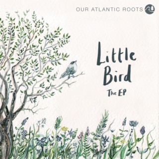 Little Bird (The EP)
