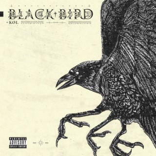 Black Bird lyrics | Boomplay Music