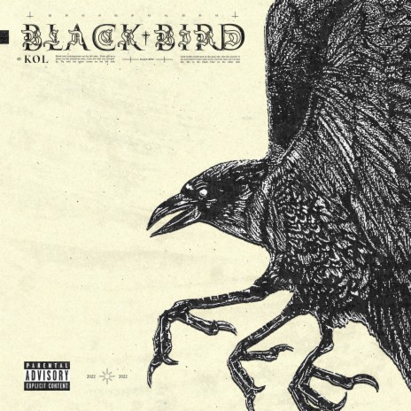 Black Bird | Boomplay Music