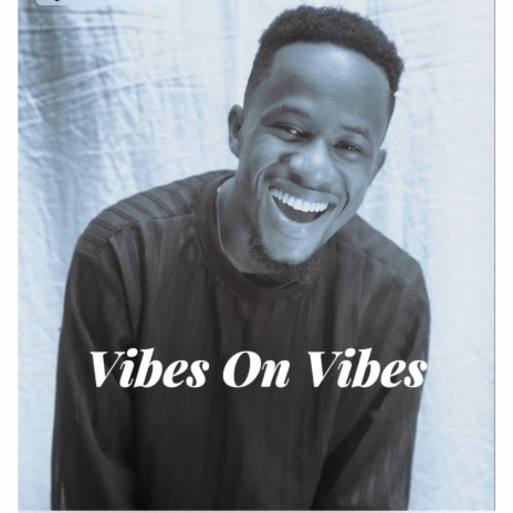 Vibes On Vibes | Boomplay Music