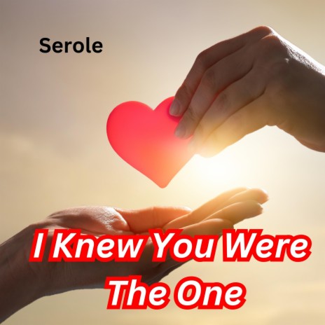 I Knew You Were The One | Boomplay Music