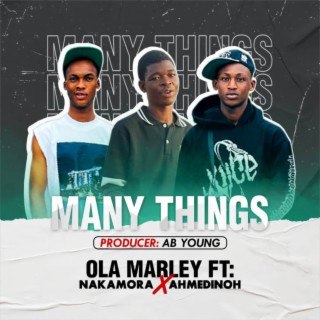 Many Things ft. Ahmedinoh & Nakamora lyrics | Boomplay Music