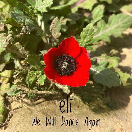 We Will Dance Again | Boomplay Music