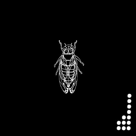 Black Rabbit | Boomplay Music