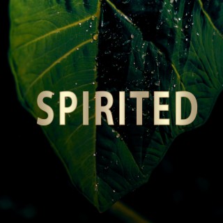 Spirited