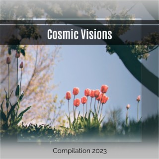 Cosmic Visions
