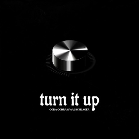 Turn it Up ft. Walschlager | Boomplay Music