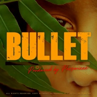 Bullet