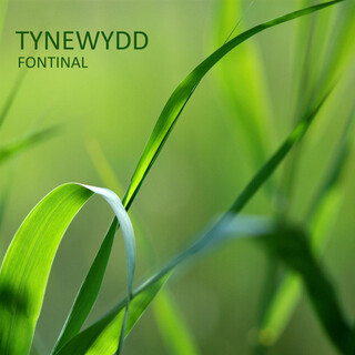 Tynewydd