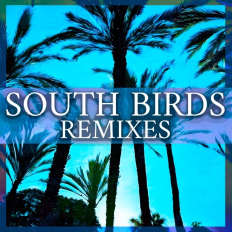 South Birds (Hip-hop Remix)