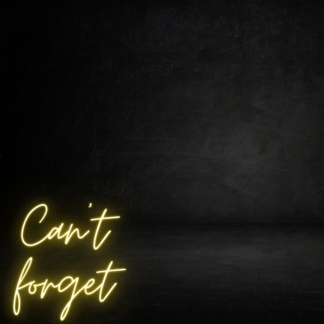 Can't Forget | Boomplay Music