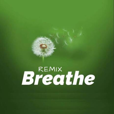 Breathe (Remix)