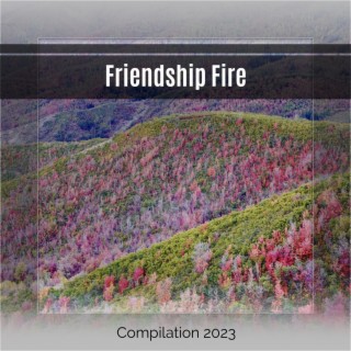 Friendship Fire