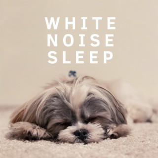 White Noise Sleep - loopable, without fade