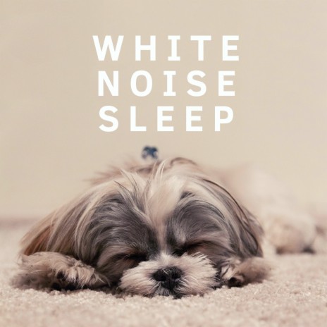 White Noise Meditation