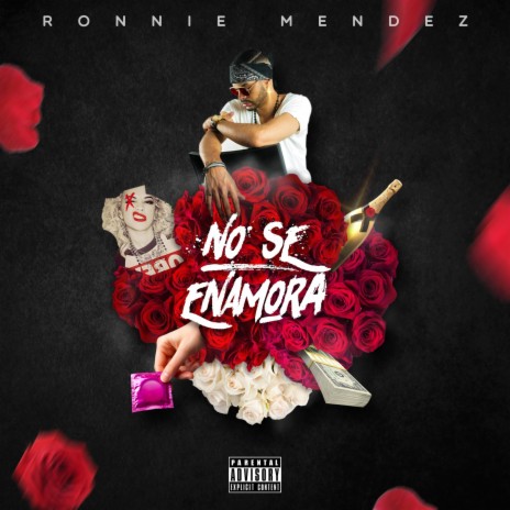 No Se Enamora | Boomplay Music