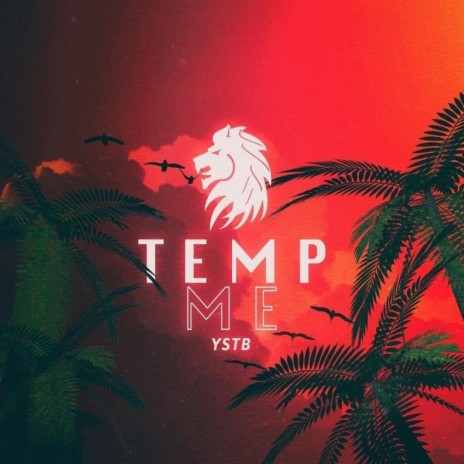 Temp Me | Boomplay Music