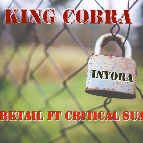 iNyora ft. Sharktail & TheeGod Critical Suaecy | Boomplay Music