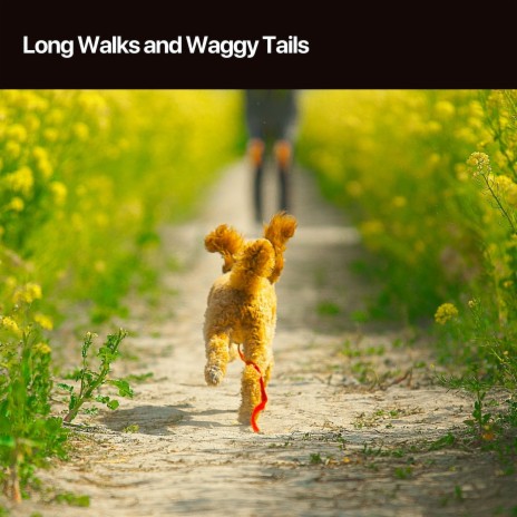 Long Tails | Boomplay Music