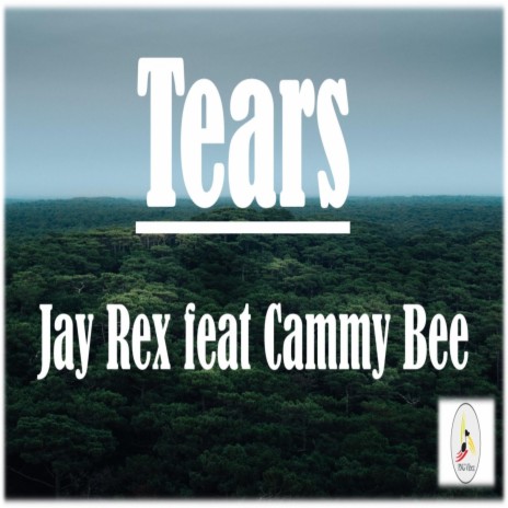 Tears (feat. Cammy Bee) | Boomplay Music