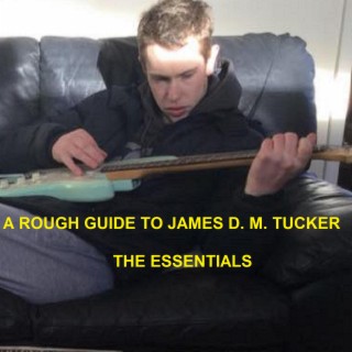 A Rough Guide to James D. M. Tucker - The Essentials