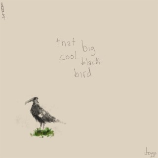 that big cool black bird