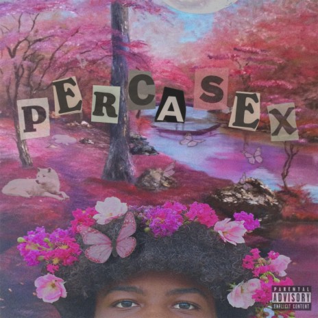 Percasex | Boomplay Music