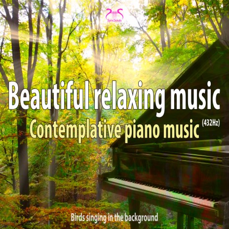 Beautiful Calm Piano Melody (With Birds Singing in the Background) ft. SyncSouls & Max Relaxation | Boomplay Music