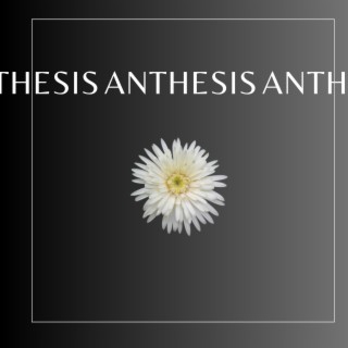 Anthesis