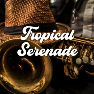 Tropical Serenade: Sonidos soleados de música latina